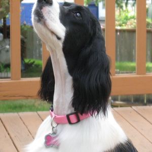 Meet your Posher, Suzanne